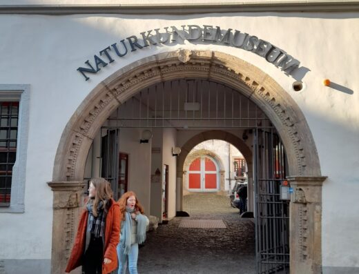 Naturkundemuseum Erfurt