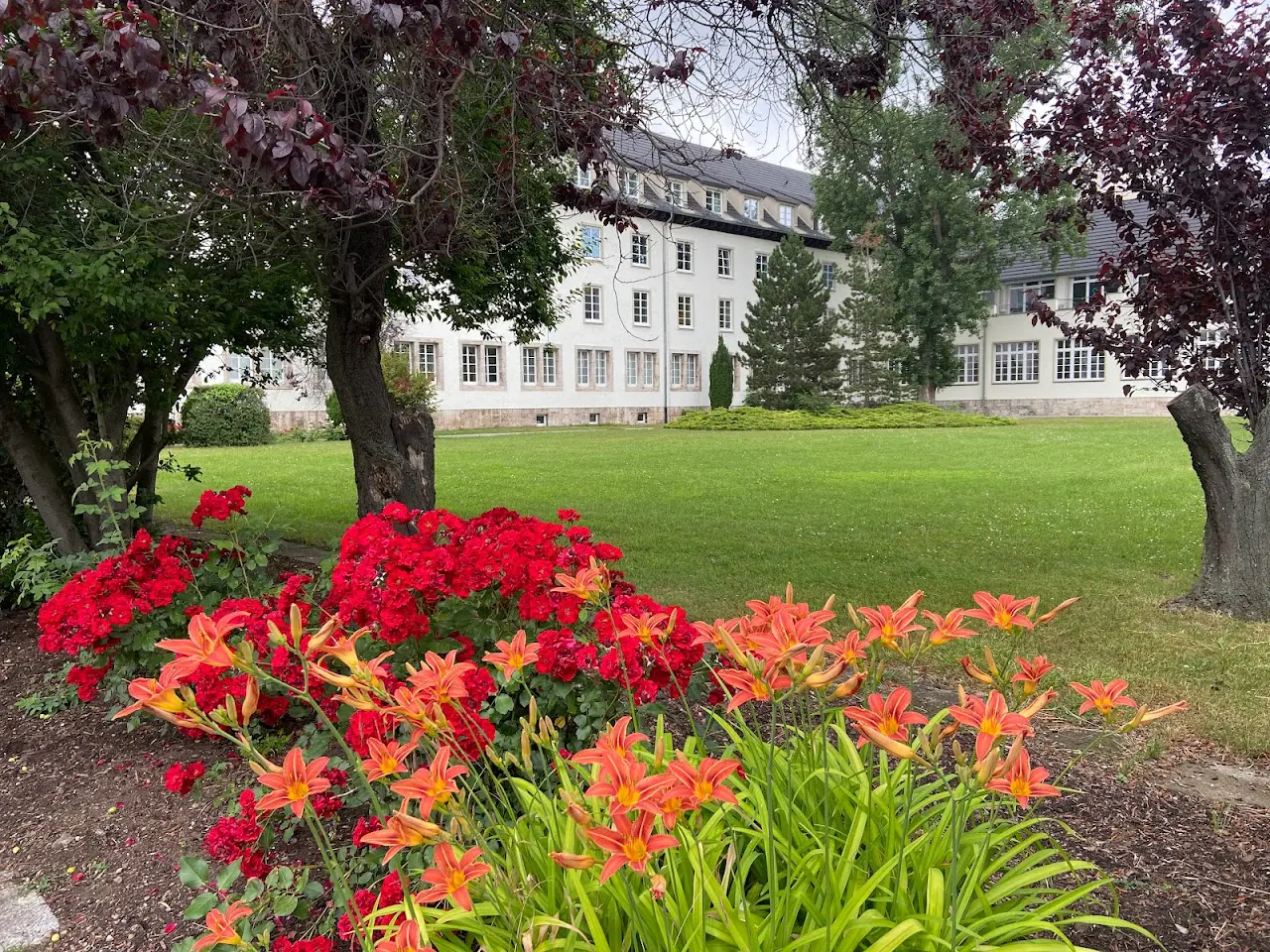 Tagungsräume erfurt 27 1731153305 702 photo