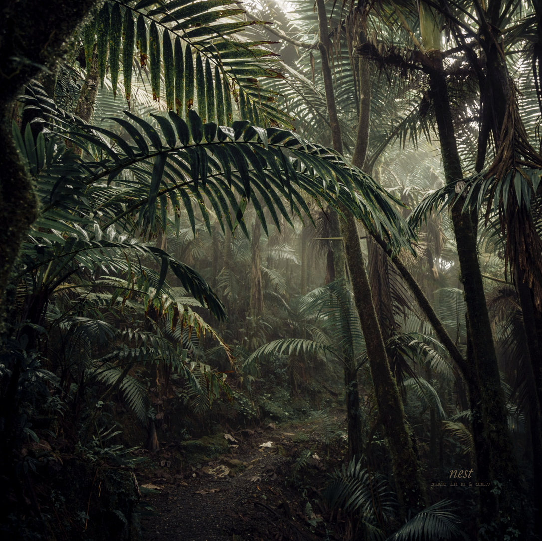 Dennis f. Arnold — grafikdesign | ux ui 17 1731171417 868 photo