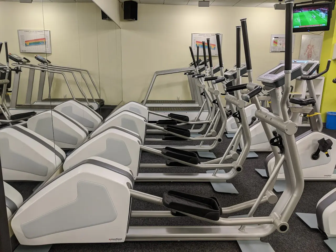 Fitness - studio "am südpark" ug 21 1731173958 284 photo