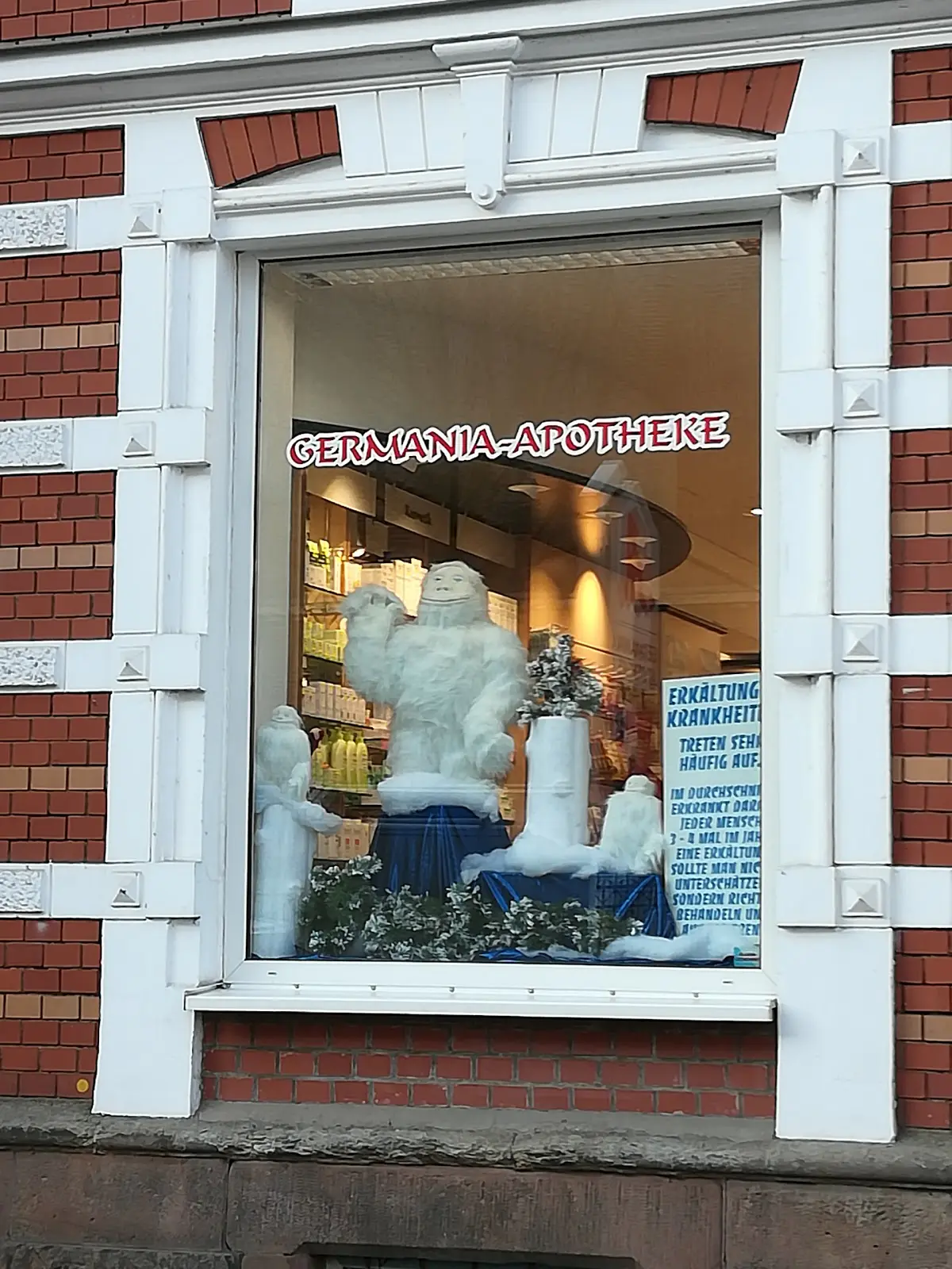 Germania-apotheke 15 1731185807 246 photo