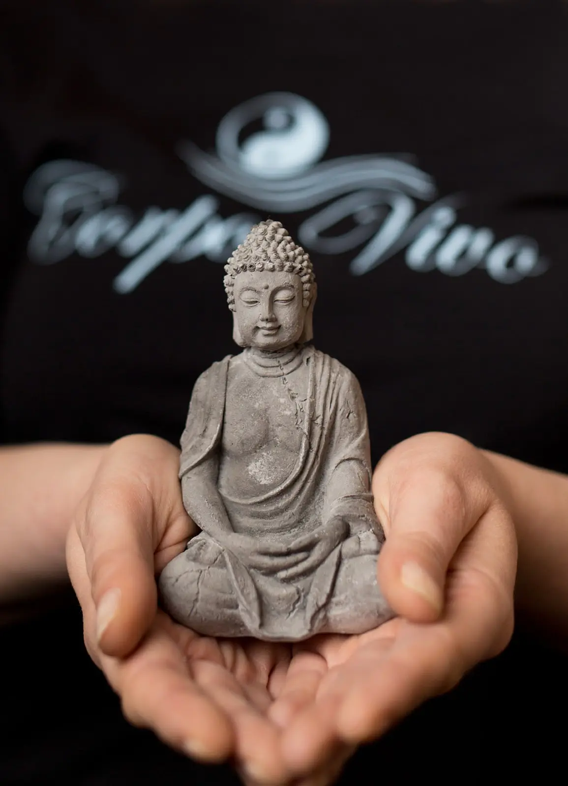 Corpo vivo physiotherapie und wellness susan rödiger 27 1731213413 814 photo