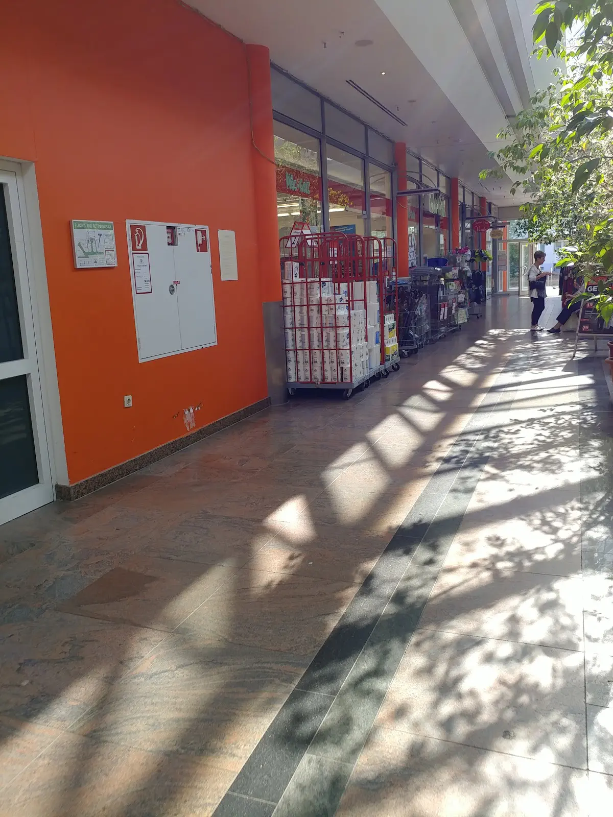 Rewe 27 1733423639 305 photo