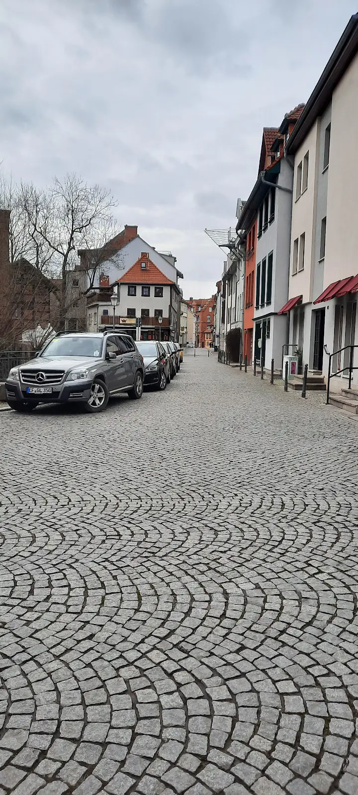 Pfitzner erfurt 19 1733573570 728 photo