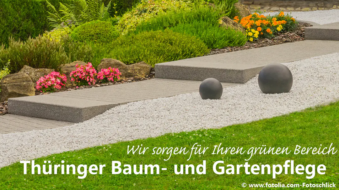 Grüner dienst carl 9 1737373100 325 photo